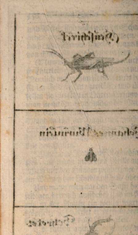 Figura da