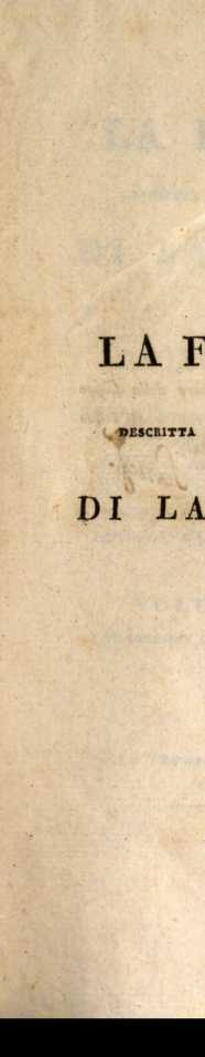 Figura din