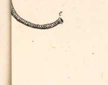 Illustration dans
