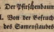 Abbildung aus