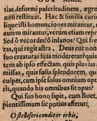 Figura din
