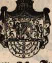Figura din