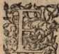 Figura din