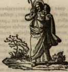 Figura da