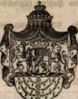 Figura din