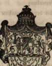 Figura din