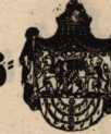 Figura din