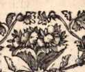 Figura din