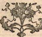 Figura da