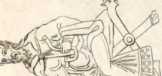 Figura
