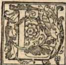 Figura de