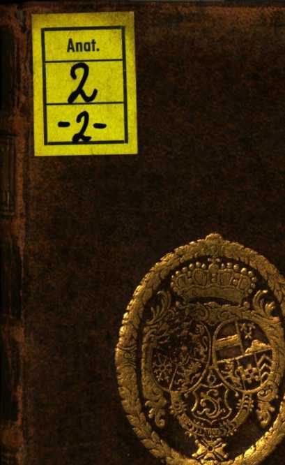 Figura da