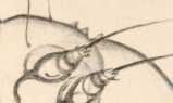 Illustration dans