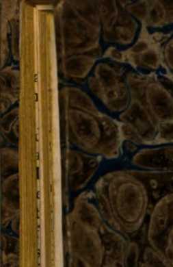 Figura din