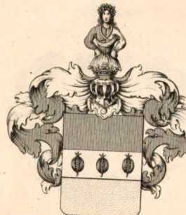 Figura din