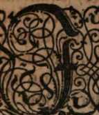 Figura din