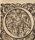 Figura din