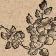 Figura din
