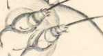 Illustration dans