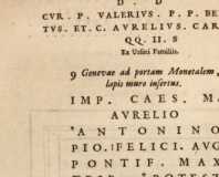 Figura din