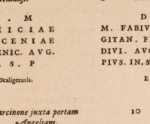 Figura din