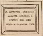 Figura din