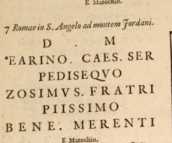 Figura din