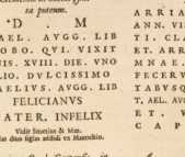 Figura din