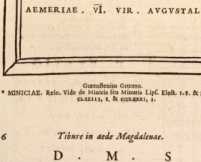 Figura din