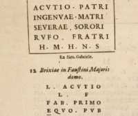 Figura din