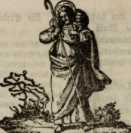 Figura da