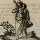 Figura da