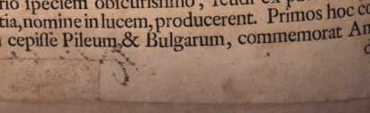 Abbildung