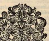 Figura da