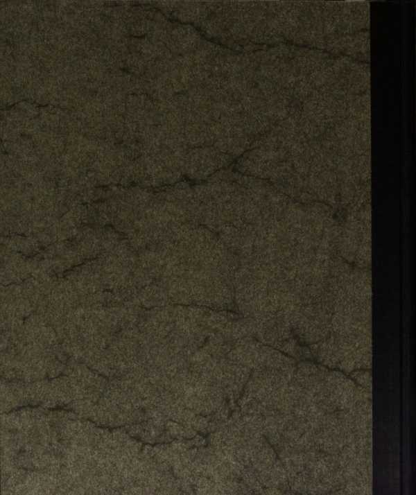 Image from