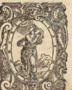 Figura din