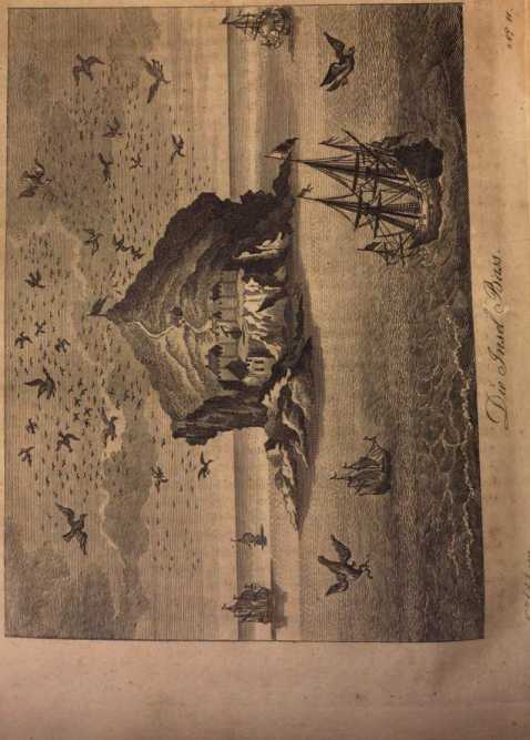 Figura da