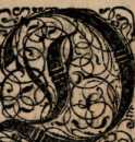 Figura da