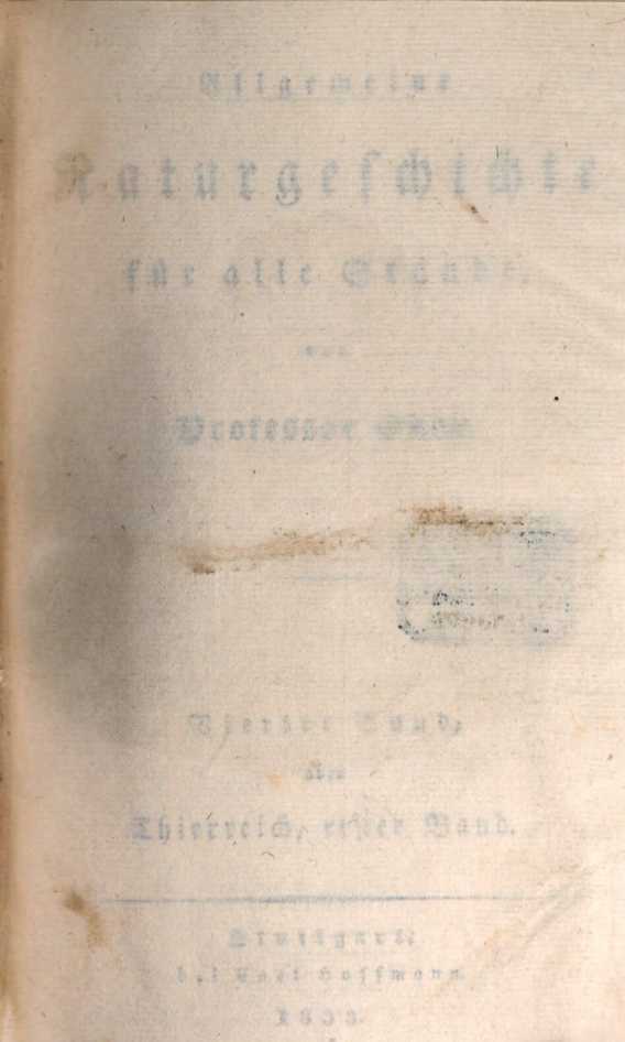 Abbildung aus