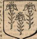 Figura din