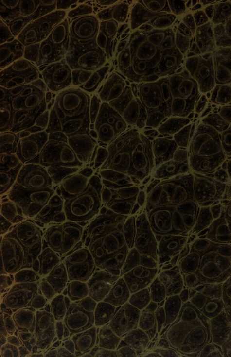 Image from