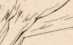 Illustration dans