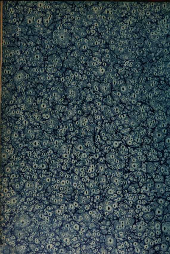 Image from