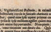 Figura din