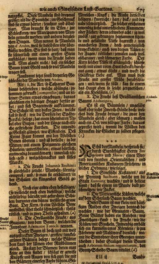 Abbildung aus
