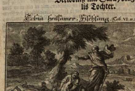 Abbildung aus