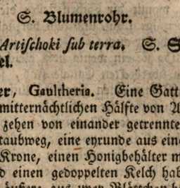 Abbildung aus