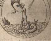 Figura da