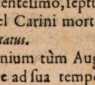 Figura din
