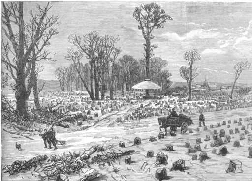 06.02.1871
